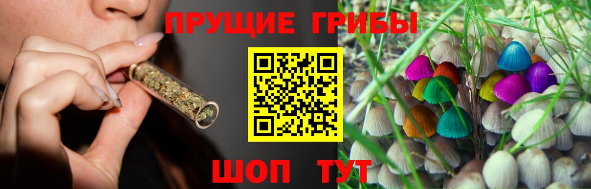 Мегион  где продают наркотики  Вход с VPN  Галлюциногенные грибы Psilocybe 